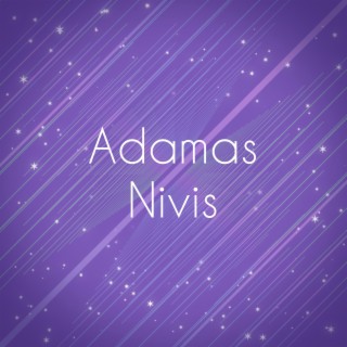 Adamas Nivis
