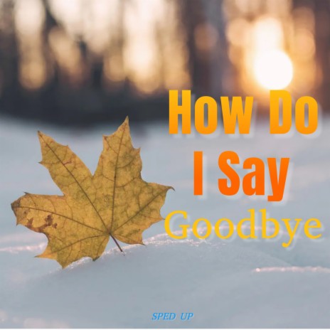 How Do I Say Goodbye | Boomplay Music
