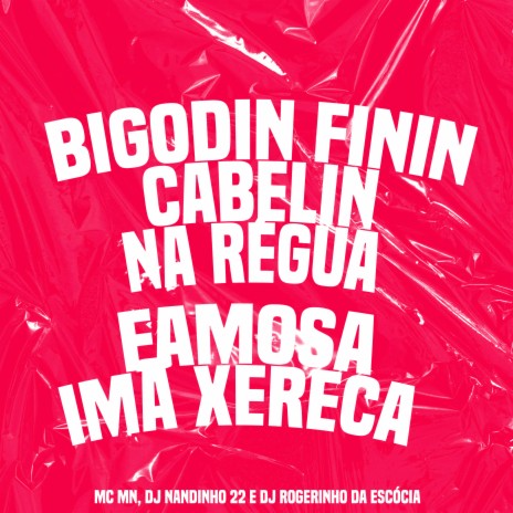 Bigodin Finin Cabelin na Régua - Famosa Imã Xereca ft. DJ Nandinho 22 & DJ Rogerinho Da Escócia | Boomplay Music