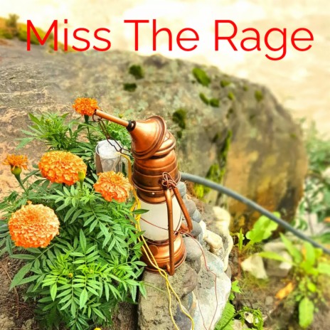 Miss The Rage