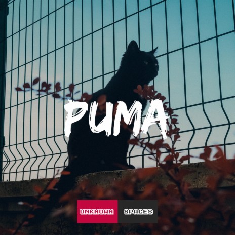 puma | Boomplay Music