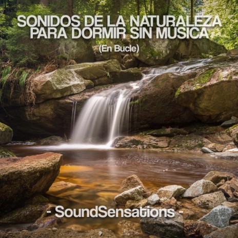 Sonidos De La Naturaleza Para Dormir Sin Música (En Bucle) | Boomplay Music