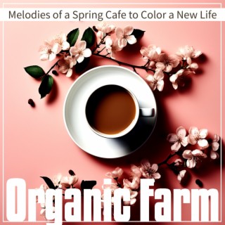 Melodies of a Spring Cafe to Color a New Life