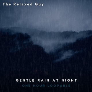 Gentle Rain at Night