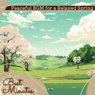 Peaceful Bgm for a Relaxed Spring