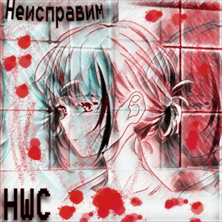 Неисправим