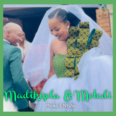 Phoko E Ntsho ft. Motodi | Boomplay Music