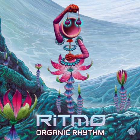 Organic Rhythm (Original mix) | Boomplay Music