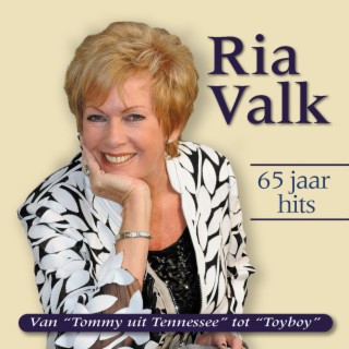 65 Jaar Hits