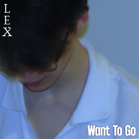 Want To Go | Boomplay Music