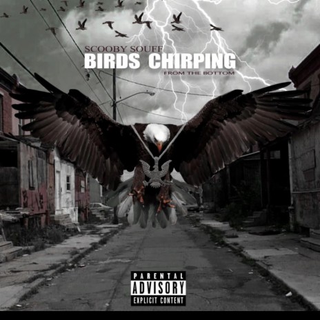 Birds Chirping From The Bottom | Boomplay Music