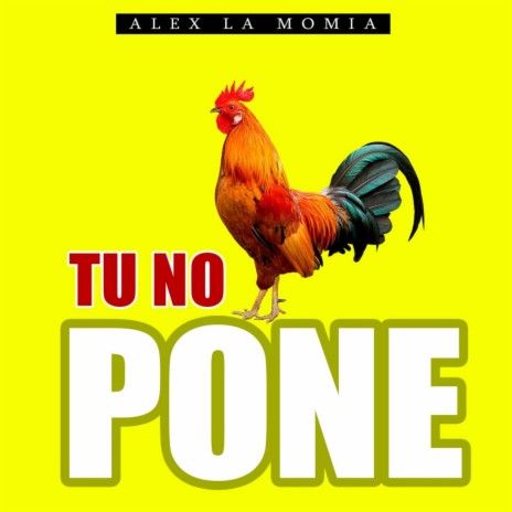 Tu No Pone