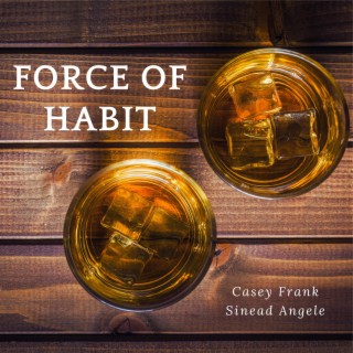 Force Of Habit (Radio Edit) ft. Casey Frank lyrics | Boomplay Music