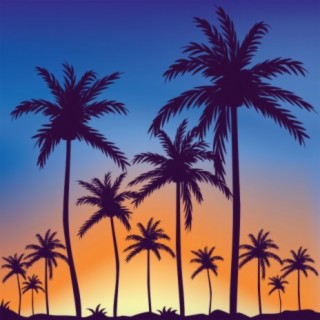 Palm Trees