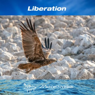 Liberation