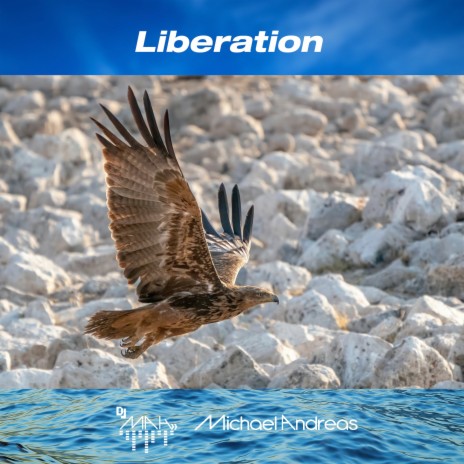 Liberation | Boomplay Music