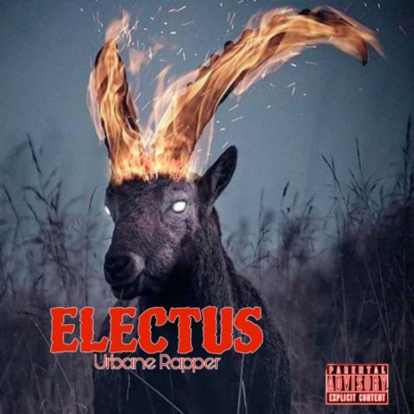 Electus | Boomplay Music