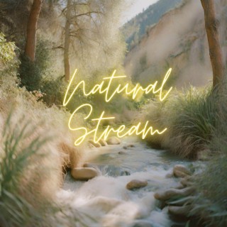Nature Stream