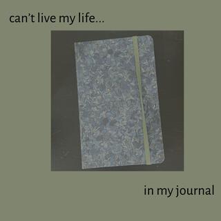 can't live my life in my journal