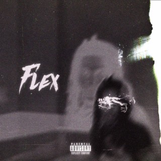 FLEX lyrics | Boomplay Music