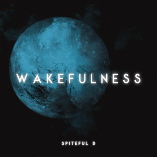 Wakefulness