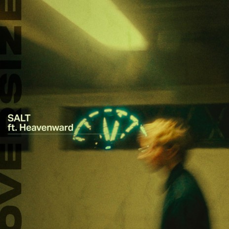 Salt ft. Heavenward | Boomplay Music