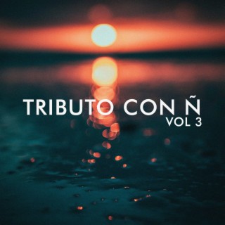 Tributo Con Ñ, Vol. 3