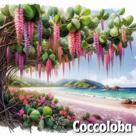 Coccoloba Version: Sea Grape Wine ft. Chris Mitchell | Boomplay Music