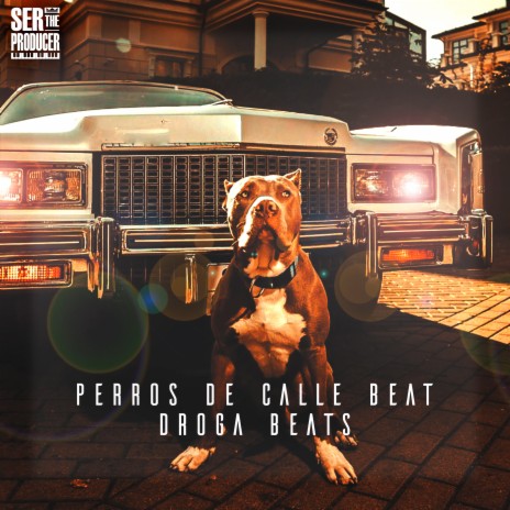 Perros de Calle Beat ft. Ser The Producer | Boomplay Music