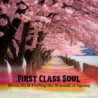 Bossa Bgm Feeling the Warmth of Spring
