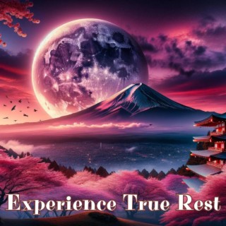Experience True Rest: Relaxing Meditation Tunes on Piano & Flute