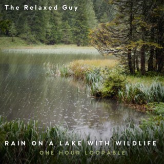 Rain on a Lake with Quiet Wildlife Sounds