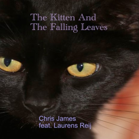 The Kitten and the Falling Leaves ft. Laurens Reij | Boomplay Music