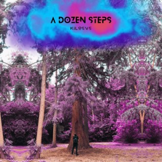 A Dozen Steps