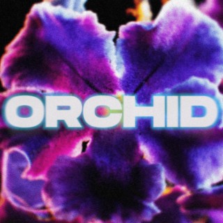 Orchid