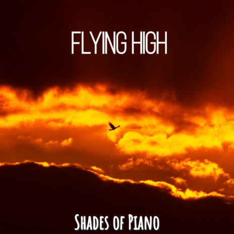 Flying high | Boomplay Music