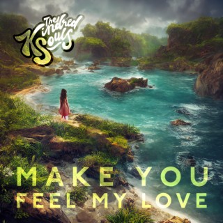 Make You Feel My Love