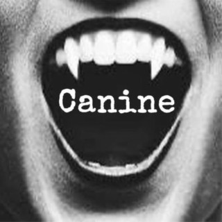 Canine