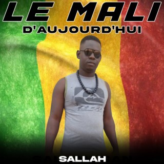 Le Mali d'aujourd'hui