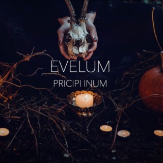 Evelum