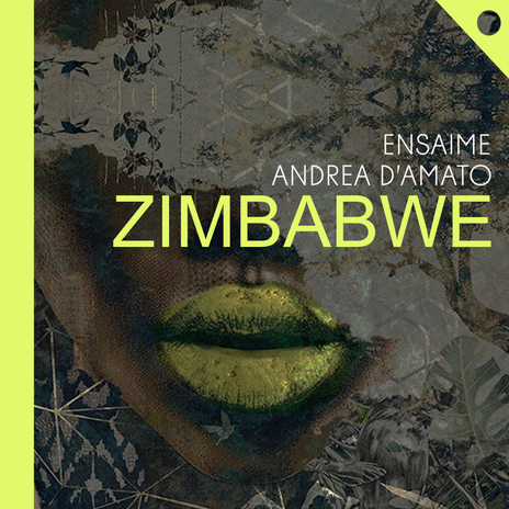 Zimbabwe ft. Andrea D'Amato | Boomplay Music