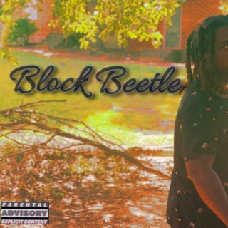 Block Beetle
