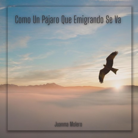 COMO UN PÁJARO QUE EMIGRANDO SE VA | Boomplay Music