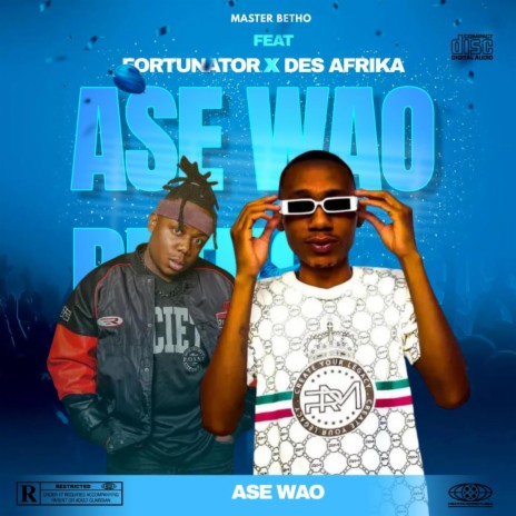 Ase Wao ft. Fortunator & Des Africa | Boomplay Music