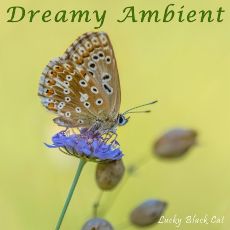 Dreamy Ambient | Boomplay Music