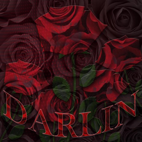 DARLIN | Boomplay Music