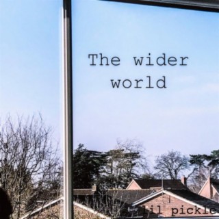 The wider world