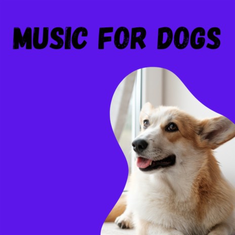 Anxious Dog ft. Music For Dogs, Calm Pets Music Academy & Relaxing Puppy Music | Boomplay Music