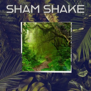 (H.A.B 9) SHAM SHAKE