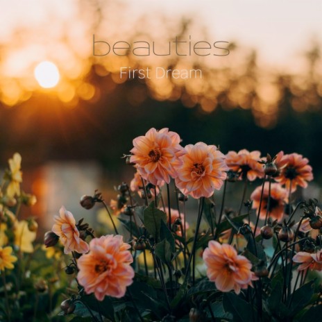 Beauties | Boomplay Music